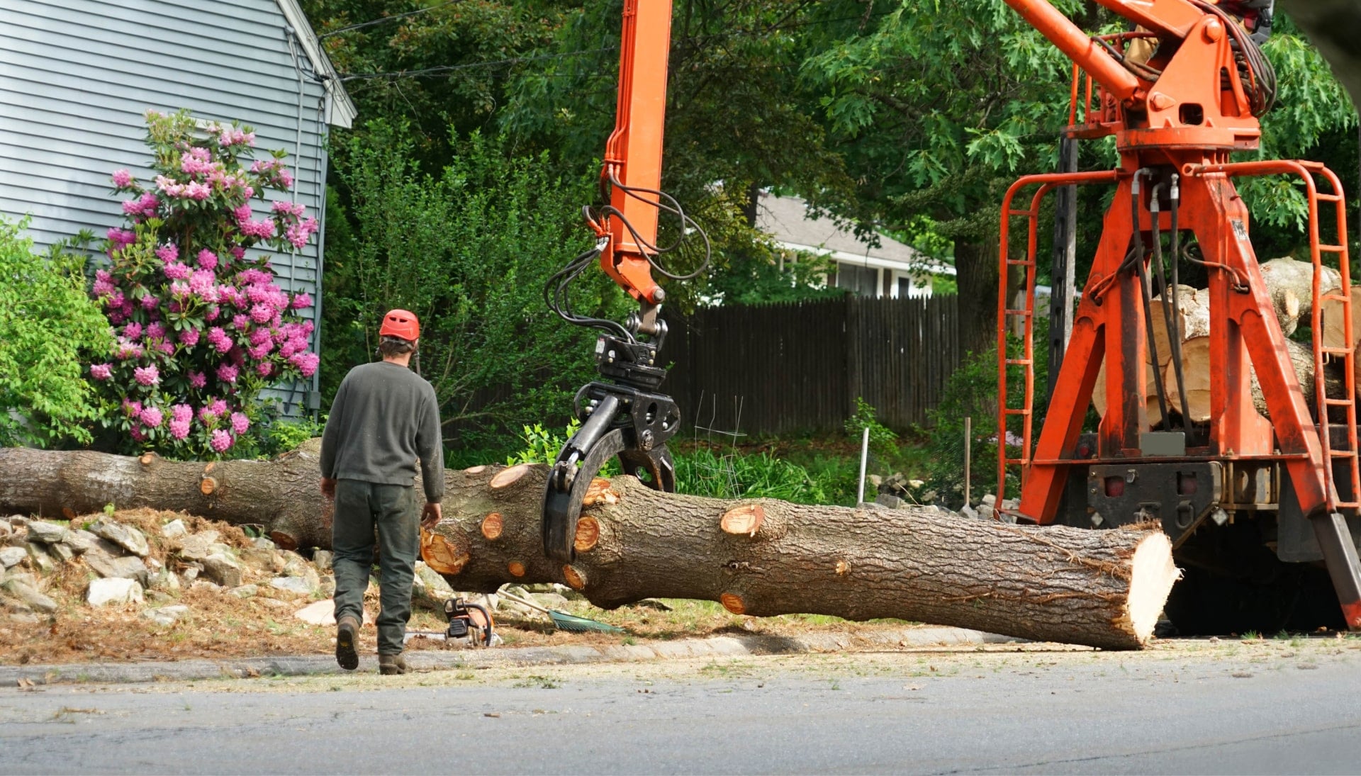 Local partner for Tree removal services in Cleveland